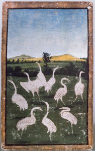 Aironi in un campo, uno di un set di carte da gioco che raffigurano scene di falconeria cortese, Area dell