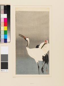 Due gru giapponesi che sguazzano in uno stagno da Koson Ohara