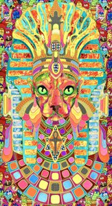 Il vivace gatto faraone
