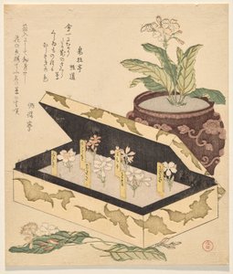 Assortimento di primule in una scatola di lacca da Kubo Shunman