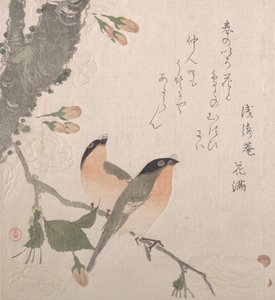 Cinciarelle e fiori di ciliegio da Kubo Shunman