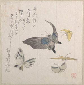  da Kubo Shunman