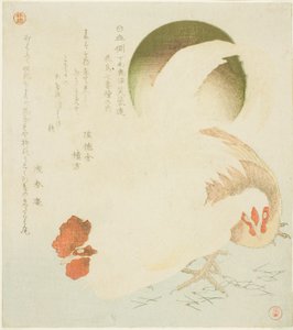 Gallo, gallina e sole nascente, dalla serie "Sette stampe di uccelli e fiori per il Circolo Fuyo di Kanuma nella provincia di Shimotsuke" da Kubo Shunman