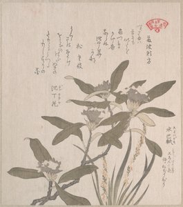  da Kubo Shunman