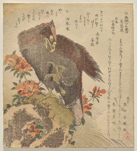 Aquila con un artiglio sollevato su una roccia vicino a un cespuglio di azalee da Kubo Shunman