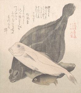 Passera di mare e altri pesci, XIX secolo