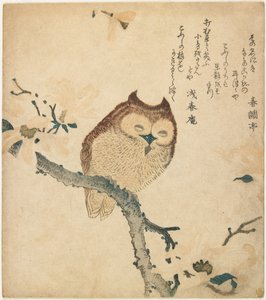  da Kubo Shunman