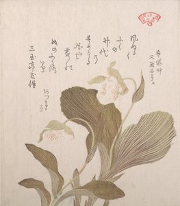 Fiori di Hotei da Kubo Shunman