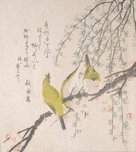 Occhi Bianchi Giapponesi con Albero di Prugna e Salice da Kubo Shunman