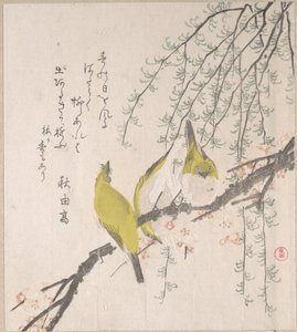  da Kubo Shunman