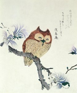 Gufo su un ramo di magnolia (inchiostro e colore su carta) da Kubo Shunman