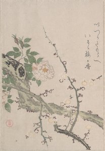  da Kubo Shunman