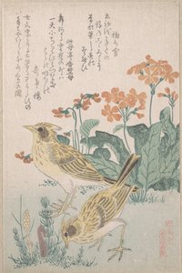  da Kubo Shunman