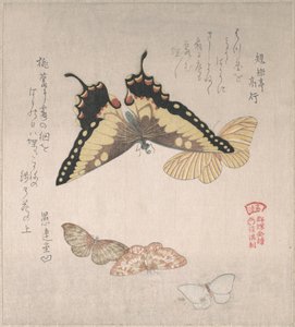  da Kubo Shunman