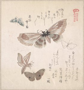  da Kubo Shunman