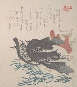 Varie alghe da Kubo Shunman