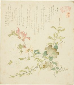 Varie fiori primaverili, dalla serie "Piante e alberi primaverili per il Circolo di Poesia Kasumi del Gruppo Yomo" da Kubo Shunman