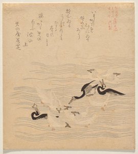 Dove si radunavano e giocavano i cormorani e i gabbiani, dalla serie Tosa Nikki da Kubo Shunman