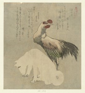 Gallo e cane