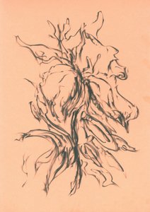  da Kulik