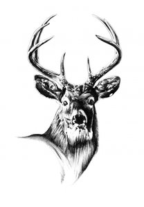  da Kulik