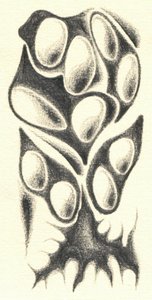  da Kulik