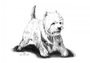  da Kulik
