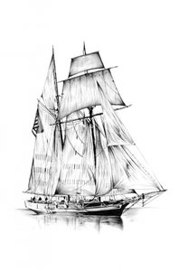  da Kulik