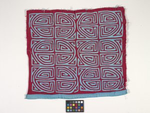 Pannello di camicia (Mola)