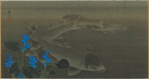 Carpa, periodo Edo, inizio XIX secolo da Kuroda Toko