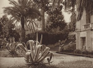 Roma: Nel Giardino Vaticano