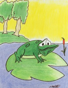 Rana della ninfea, 2005 (matita colorata su carta)