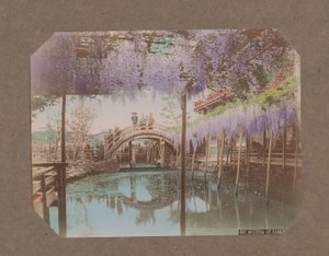 Persone su un ponte, con glicine in fiore in primo piano, a Kameido, Tokyo, Giappone