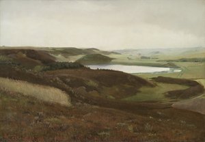 Un paesaggio vicino a Bryrup, Jutland da Laurits Andersen Ring