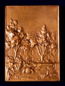 Insetti, 1911 da L. Patriarche