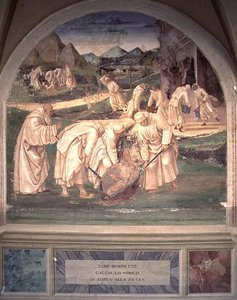 La Vita di San Benedetto (dettaglio) da L. and Sodoma G. Signorelli