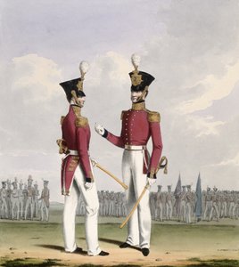 Ufficiali di campo dei Royal Marines, tavola 2 da 
