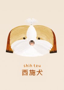 Shih tzu, 2019 da Léa Le Pivert