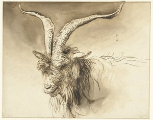 Testa di una capra di razza olandese