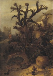 Cardo, zucca e una capra