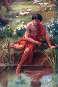 Ha visto il proprio riflesso (litografia a colori)
