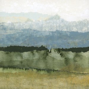Paesaggio verde nebbioso