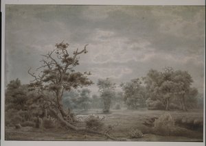 Paesaggio forestale da Düsseldorf