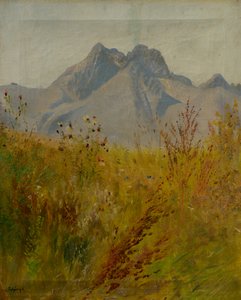 Picco Lomnický da Laszlo Mednyanszky