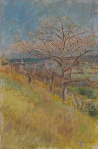 Valle con alberi in fiore, 1890-1900 da Laszlo Mednyanszky
