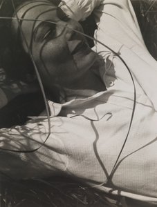 Ritratto di Ellen Frank