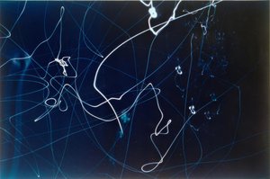 Senza titolo (3 scatti di semafori) da Laszlo Moholy Nagy