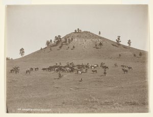 Lavorando un piccolo mazzo sulle colline