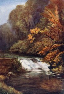 Autunno a Frenchay