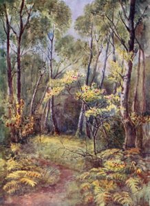 Nei boschi di Leigh da Laura Annie Happerfield